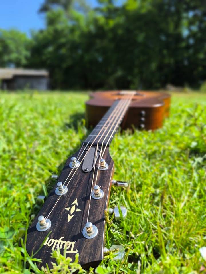 Taylor 517 Builders Edition — fingerpicking